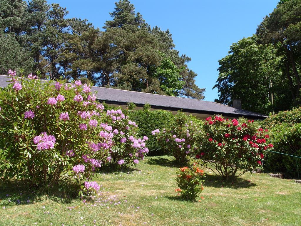 Plas Heulog Holiday Accommodation 렌페어페찬 외부 사진